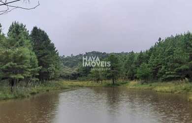 Imagem: A fazenda possui 10m² de Área e está localizado em Borda