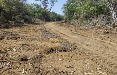 Imagem 3: Faz 115 Alq planta 310 Hec 2 Taiao lavouras ao lado