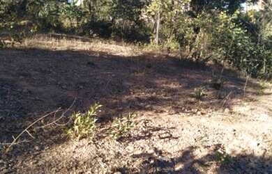 Imagem: A fazenda possui 1.200m² de Área e está localizado em Pinhões