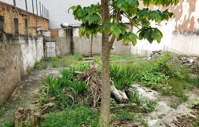 Imagem 2: TERRENO LOCALIZADO HÁ 50 METROS DA AV. WASHINGTON LUIS