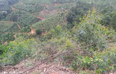 Imagem 7: *Vendo Sitio urgente em Timbui