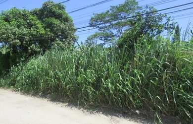 Imagem 2: Lote/Terreno para venda tem 450 metros quadrados em Itaipu - Niterói...