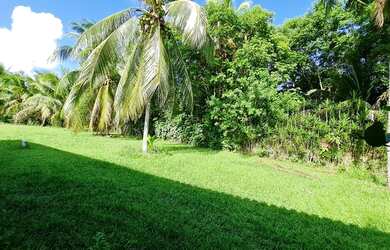 Imagem: O terreno possui 609m² de Área e está localizado em Portão