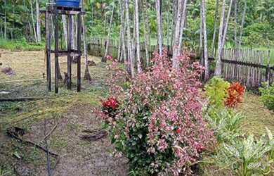 Imagem: O terreno está localizado em Santana, AP à venda por R$45.000