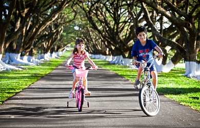 Imagem 3: Condomínio Fazenda Santa Maria para venda tem 1632 metros quadrados em...