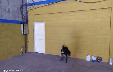 Imagem 6: Galpão em Barueri Jd California 600m + 500m de estacionamento 15.000