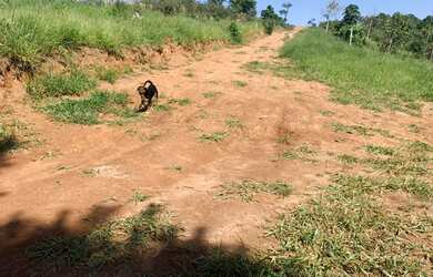 Imagem 14: Terreno com luz individual