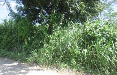 Imagem 3: Lote/Terreno para venda tem 450 metros quadrados em Itaipu - Niterói...