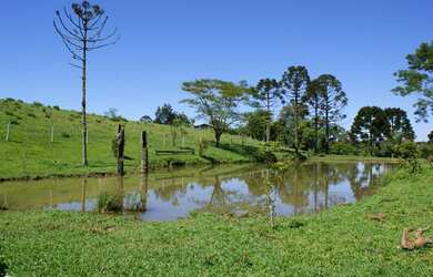 Imagem 5: Chácara à venda, Tijucas do SUL, Tijucas do Sul, PR