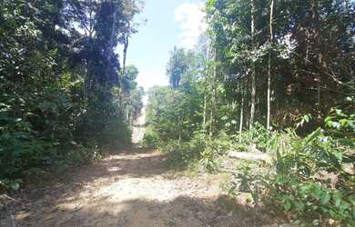 Imagem: O terreno possui 1.000m² de Área e está localizado em Centro