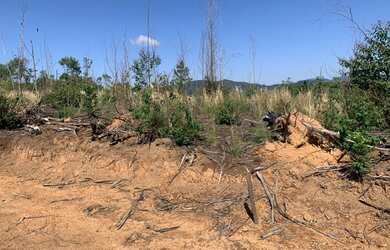 Imagem 16: Terreno com luz individual