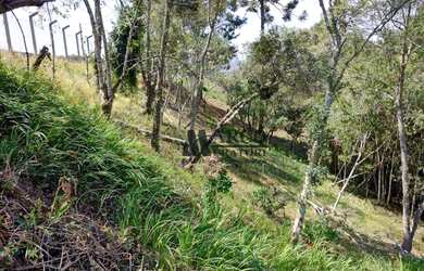 Imagem 8: Terreno à venda, 2170 m² por R$ 550.000,00 - Jaguaribe - Campos do Jordão/SP