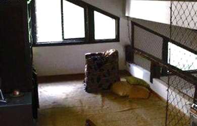 Imagem 7: Casa com linda vista a venda no Itanhangá