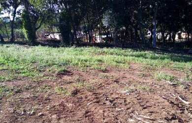 Imagem 7: Terreno à venda, 650 m² por R$ 170.000 - Jardim Casa Branca - Suzano/SP