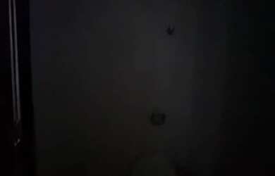 Imagem 11: Sala/Conjunto para aluguel possui 32 metros quadrados com 1 quarto