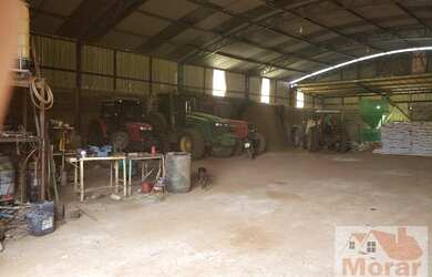 Imagem 5: Fazenda para Venda em Montes Claros de Goiás, Fazendinha