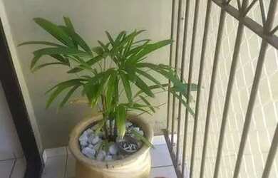 Imagem 2: Apartamento 170 mil. Churrasqueira, 53m² de Área, 1 Vaga na garageme2...