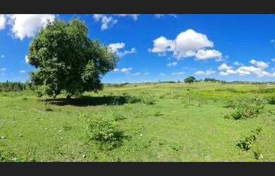 Imagem 8: Fazenda com 53 alqueires na Região dos Lagos, frente para o asfalto