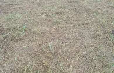 Imagem 3: M- Lote/Terreno para venda tem 360 metros quadrados em Areias de Cima...