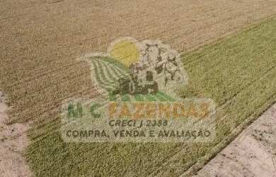 Imagem: A fazenda possui 1.424m² de Área e está localizado em Jeremoabo