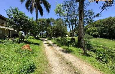 Imagem: A fazenda possui 35.191m² de Área e está localizado em Thomaz