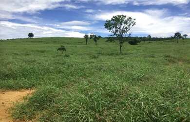 Imagem 6: FAZENDA EM NOVA REDENÇÃO - 1400 TAREFAS