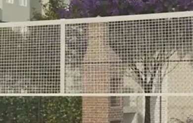 Imagem 10: PAULISTA- MINHA CASA MINHA VIDA amp MORAR BEM - Nossa Senhora do Ó -...