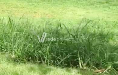 Imagem 4: Terreno - Loteamento Residencial Entre Verdes (Sousas) - Campinas