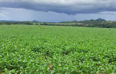 Imagem: A fazenda está localizado em Setor Central, Goiânia à venda