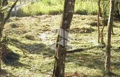 Imagem 5: Excelente terreno amplo com boa frente