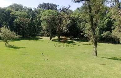 Imagem 2: Terreno à Venda em Canela