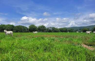 Imagem 5: Fagenda a Venda. 1.541m² de Área
