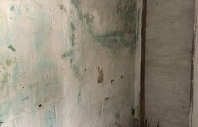 Imagem 8: Casa no falcão dias. 2 Banheirose3 Dormitórios