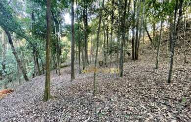 Imagem 11: Terreno à venda, 18748 m² por R$ 8.000.000,00 - Estância Serrana -...