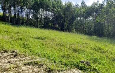 Imagem 13: 1000 metros quadrados por R$35 mil á vista em Boa Vista - Igaratá -...