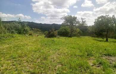 Imagem: O terreno possui 10.000m² de Área e está localizado em Gravatá