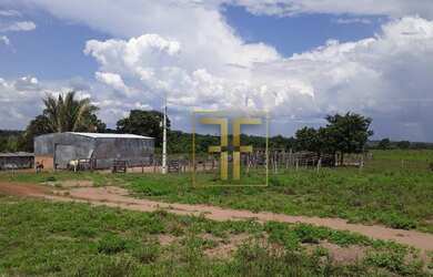 Imagem: A fazenda possui 10.000.000m² de Área e está localizado