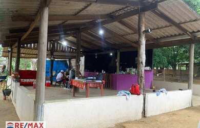 Imagem 8: Chácara com 3 dormitórios à venda, 5000 m² por R$ 650.000,00 - Quinta...