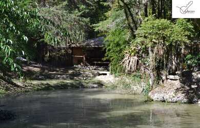 Imagem 6: CHÁCARA MARAVILHOSA em SANTO ANTÔNIO DO PINHAL - 2 dorms, 2500 m² por...