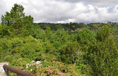 Imagem 9: Terreno à venda, 860 m² por R$ 310.000,00 - Vale dos Pinheiros - Gramado/RS