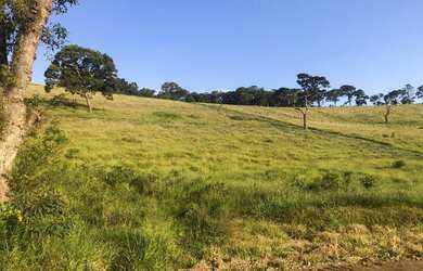 Imagem 3: Lote/Terreno para venda tem 500 metros quadrados