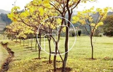 Imagem 14: Pedreira - Chacara - Sousas