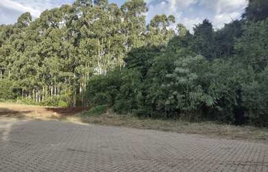Imagem 3: Terreno com área verde à venda em Linha Santa Cruz