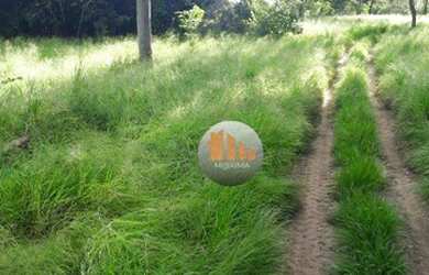 Imagem: A fazenda possui 36.300.000m² de Área e está localizado