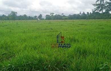 Imagem: A fazenda possui 217800m² de Área e está localizado em Urupá