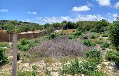 Imagem 5: Lote/Terreno para venda com 375 metros quadrados em Praia de Pipa - Tibau...