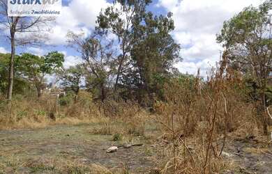 Imagem 6: Terreno, 2606 m² - venda por R$ 980.000,00 ou aluguel por R$ 6.000,00/mês - Granja Santa I