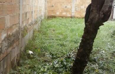 Imagem: O terreno possui 180m² de Área e está localizado em São