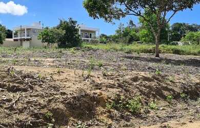 Imagem: O terreno possui 500m² de Área e está localizado em Trancoso