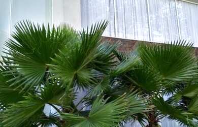 Imagem: A casa em condomínio possui 3 Dormitórios, 4 Banheiros, 4